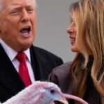 Turkey pardons offer holiday ritual during precarious moment for Trump