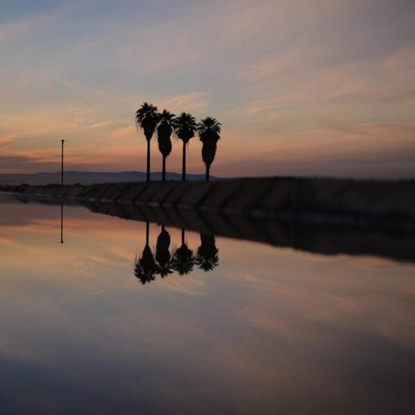 California farmer arrested on suspicion of murder in&hellip;