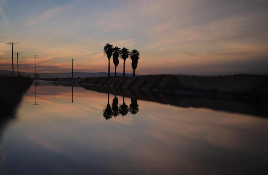 California farmer arrested on suspicion of murder in wife’s death in Arizona