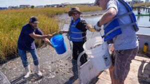 Louisiana is shrinking. Some tribes are fighting to&hellip;