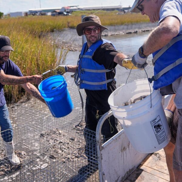 Louisiana is shrinking. Some tribes are fighting to…