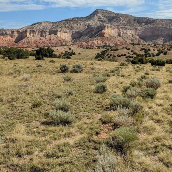 Georgia O’Keeffe’s views of the New Mexico desert&hellip;