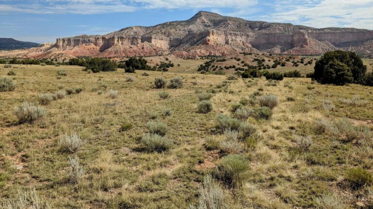Georgia O'Keeffe's views of the New Mexico desert will be preserved with conservation plan
