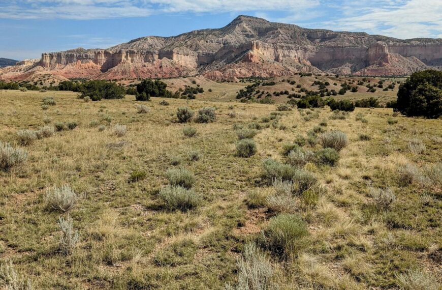 Georgia O’Keeffe’s views of the New Mexico desert will be preserved with conservation plan