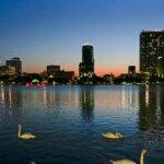 Officials suspect bird flu after 12 swans die at Orlando’s Lake Eola
