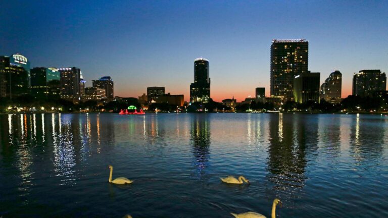 Officials suspect bird flu after 12 swans die at Orlando's Lake Eola
