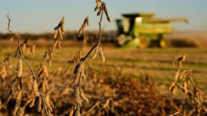 China meets initial soybean purchase goal, but Trump’s&hellip;