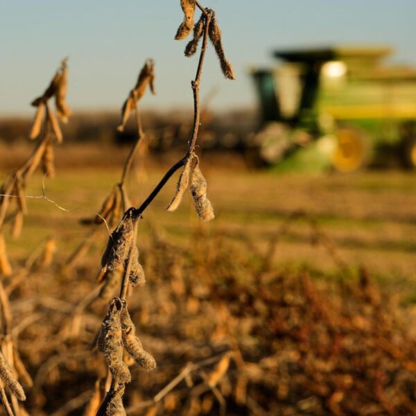 China meets initial soybean purchase goal, but Trump’s&hellip;