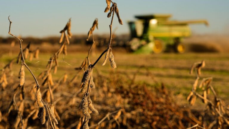 China meets initial soybean purchase goal, but Trump's shifting trade policy could disrupt deal