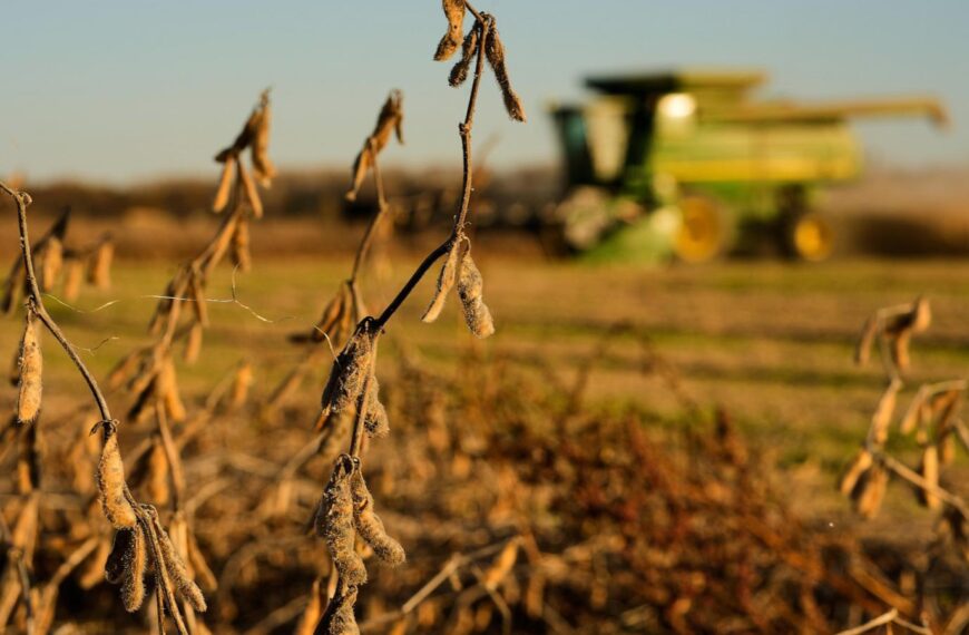 China meets initial soybean purchase goal, but Trump’s shifting trade policy could disrupt deal