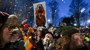 Punxsutawney Phil prepares to issue his Groundhog Day&hellip;