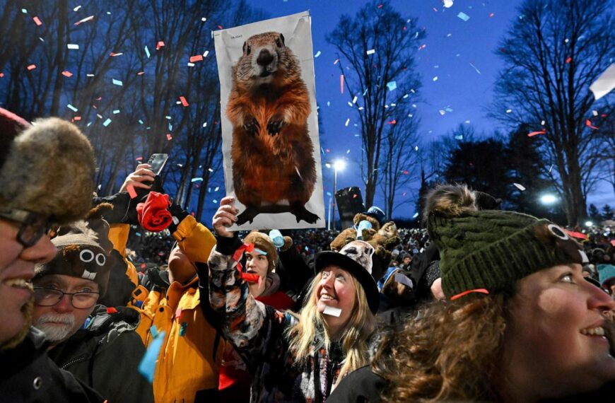 Punxsutawney Phil prepares to issue his Groundhog Day weather verdict