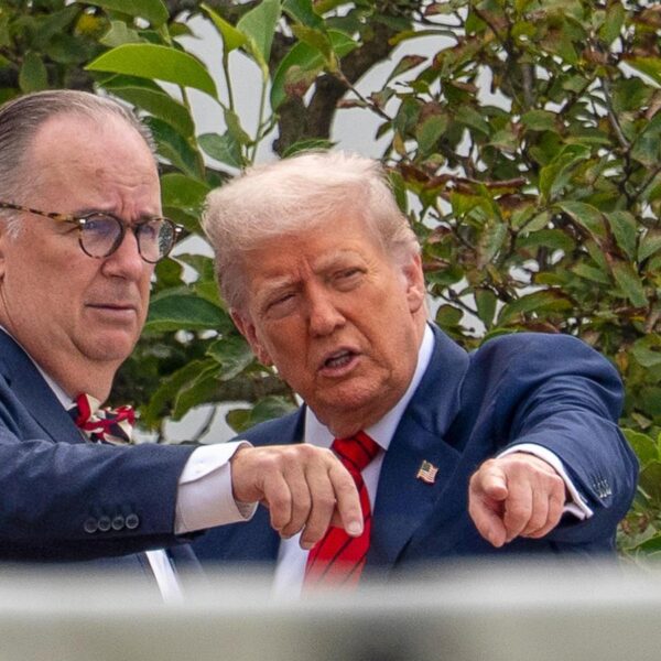 Trump quietly appoints 4 members to commission that…