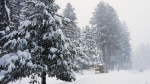 Crews search for backcountry skiers after avalanche reported&hellip;