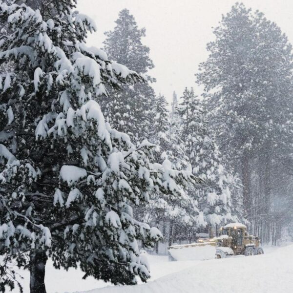 Crews search for backcountry skiers after avalanche reported…