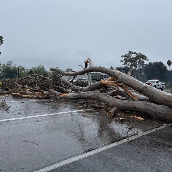 California walloped by winter storm with high winds…
