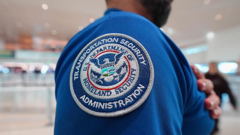 CEOs of top airlines demand Congress restore funding to Homeland Security and pay airport workers