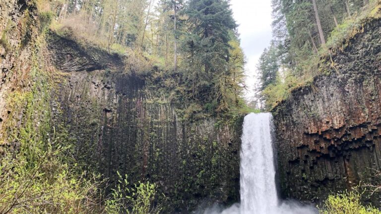 An iconic Oregon waterfall was put up for sale. Lawmakers approved money to buy it