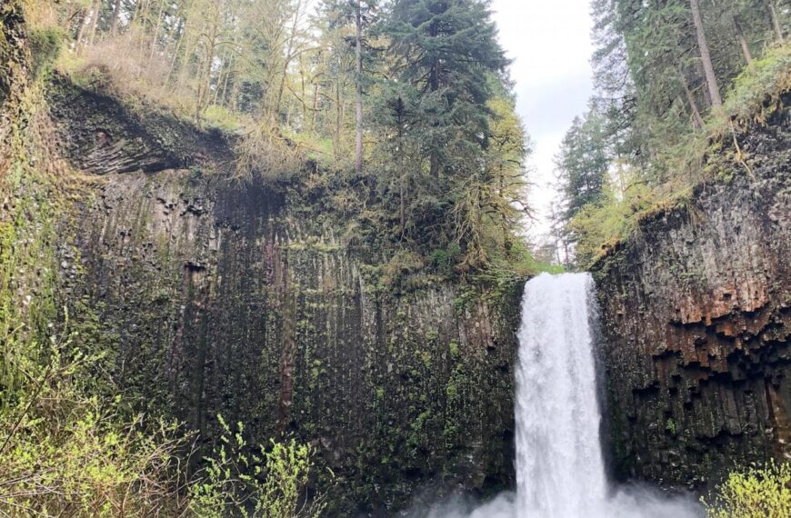 An iconic Oregon waterfall was put up for sale. Lawmakers approved money to buy it