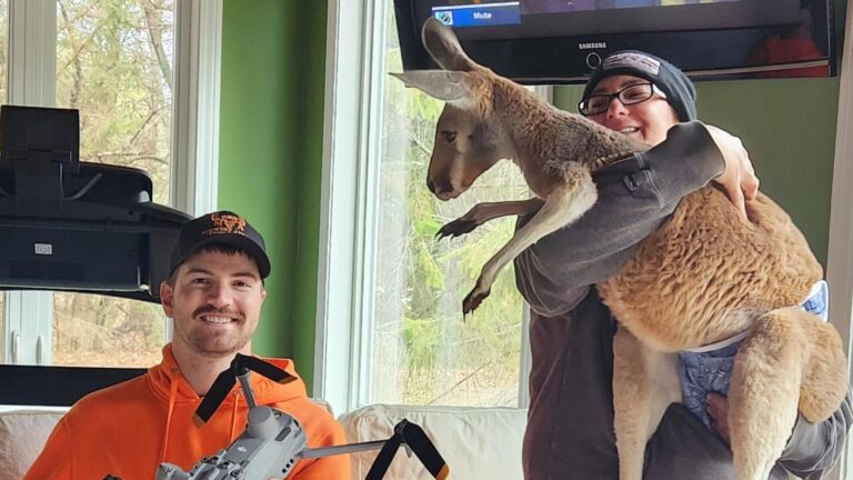 Chesney the kangaroo flees petting zoo for three days on the lam