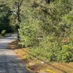 Navy veteran charged in series of Atlanta-area shootings dies in jail