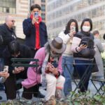 New Yorkers flock to Manhattan park for lovable woodcocks' bobbing strut