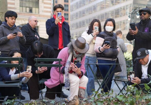 New Yorkers flock to Manhattan park for lovable woodcocks' bobbing strut