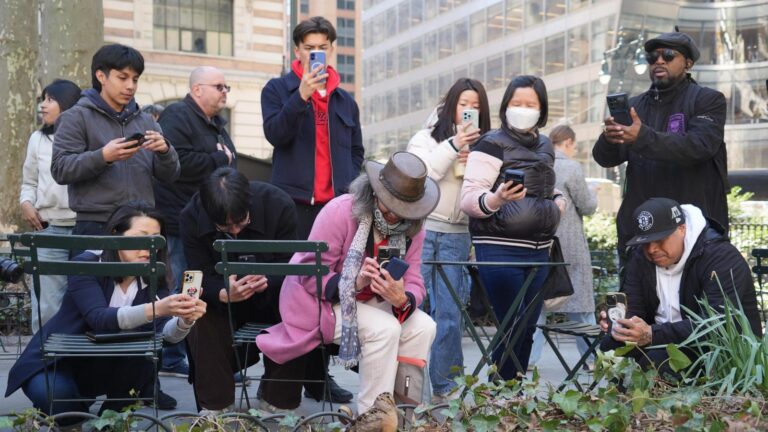 New Yorkers flock to Manhattan park for lovable woodcocks' bobbing strut