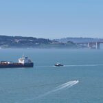 A new whale detection network launches in San Francisco Bay, alerting ships in real time