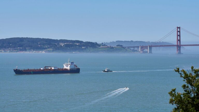 A new whale detection network launches in San Francisco Bay, alerting ships in real time