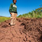 Hawaii's worst flooding in decades leaves farmers struggling, fewer veggies at market