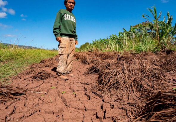 Hawaii's worst flooding in decades leaves farmers struggling, fewer veggies at market