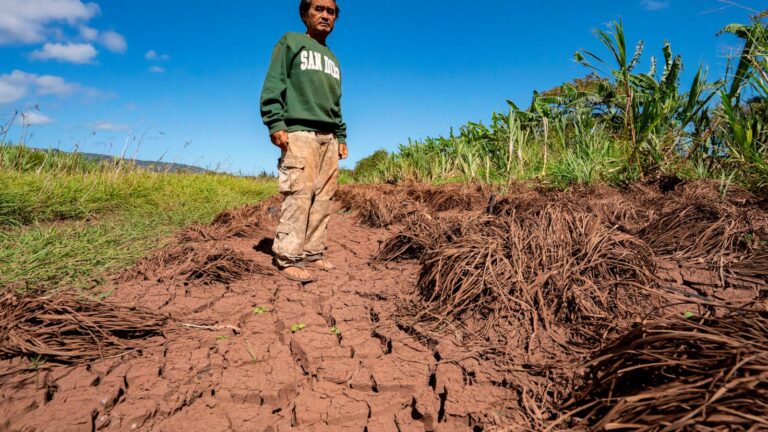 Hawaii's worst flooding in decades leaves farmers struggling, fewer veggies at market