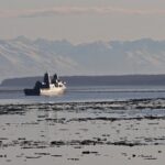 Military searches for a Marine missing off California coast