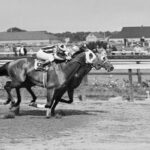 Final stretch: NYC’s last horse track, Aqueduct, ending live races