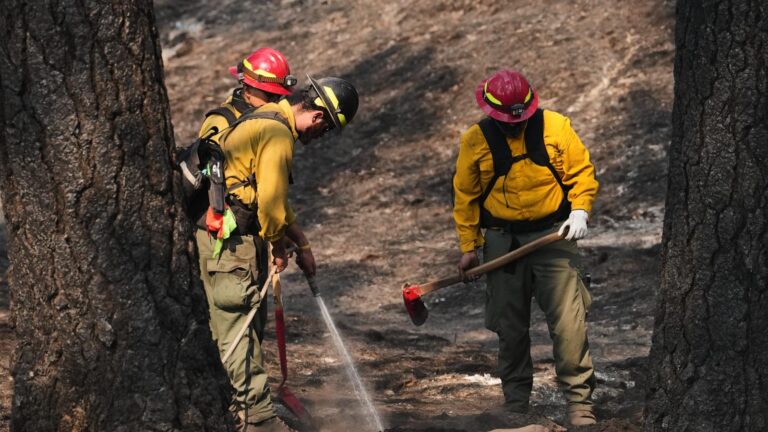 Officials warn firefighters about the risks of using a supplement for smoke exposure