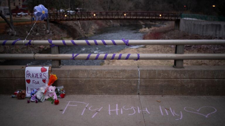 Cousin of 10-year-old Wisconsin girl pleads guilty to her killing and gets life in prison