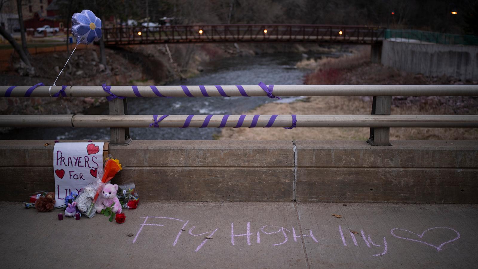 Cousin of 10-year-old Wisconsin girl pleads guilty to her killing and gets life in prison