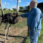Kentucky man with a meat allergy was craving a burger. So he got into ostrich farming