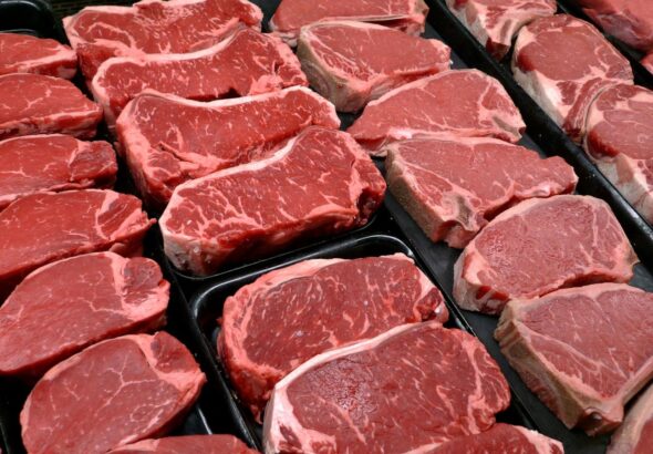 Everyone has the same question in the midterms — where's the beef?