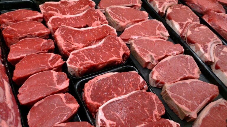 Everyone has the same question in the midterms — where's the beef?