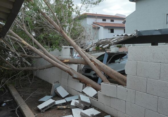 Violent Arizona storms bring possible tornado, toppled trees and golf ball-size hail
