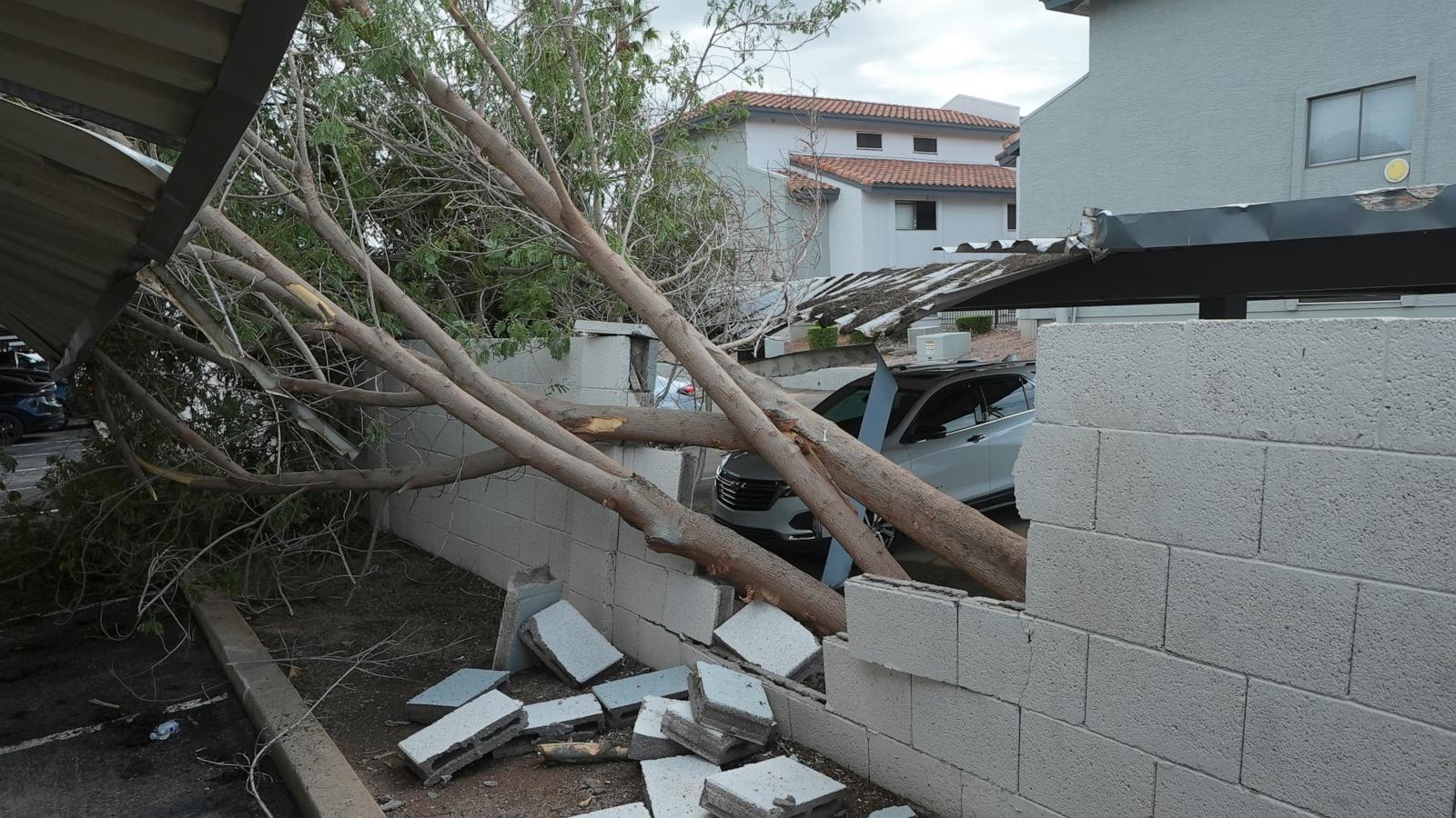 Violent Arizona storms bring possible tornado, toppled trees and golf ball-size hail