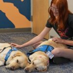 Therapy dogs bring calm and joy to students after shooting at Colorado high school