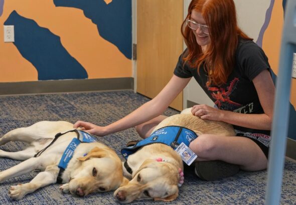 Therapy dogs bring calm and joy to students after shooting at Colorado high school