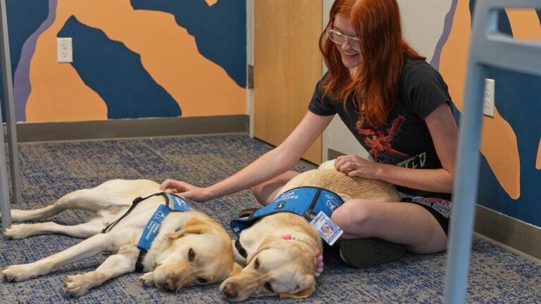 Therapy dogs bring calm and joy to students after shooting at Colorado high school