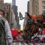 Facing a ban on horse-drawn carriages, Central Park's drivers fear for livelihoods